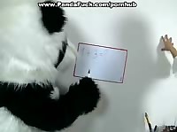 ������� ������� ���� ����� ������ 