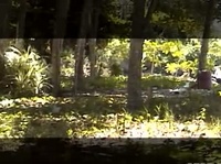 ������� ����� �� ����� 