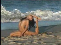 ���������� �������� ������������ ����� � ������ 