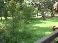 � ���� ������ ����� �������� ������ � ����� 