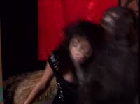 ������ � ���� ��������� ��������� ������ 